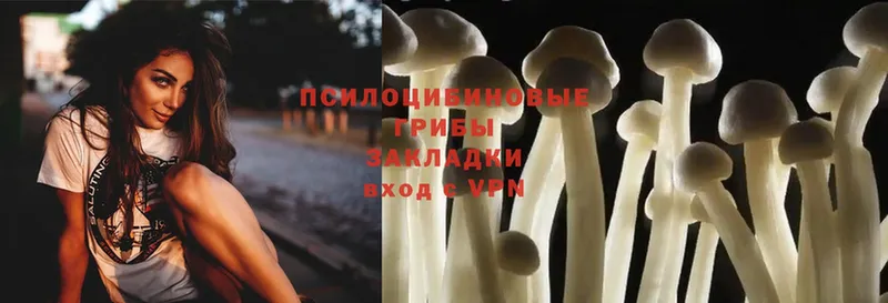 Псилоцибиновые грибы Cubensis  мега ссылка  Армянск 